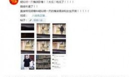 青年青门爆料最新消息视频